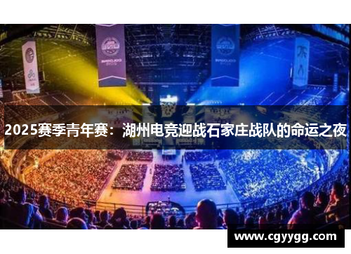2025赛季青年赛：湖州电竞迎战石家庄战队的命运之夜